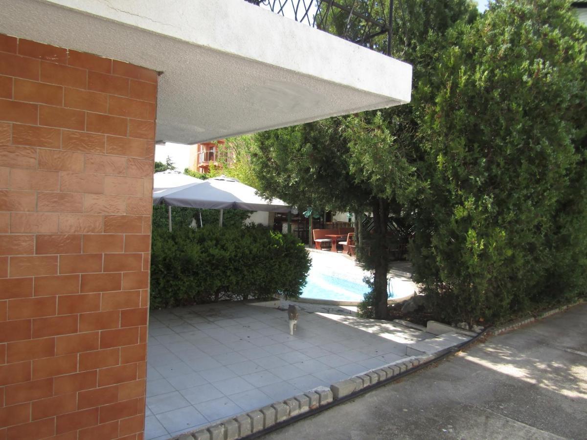 Hostel Papagal Βάρνα Εξωτερικό φωτογραφία