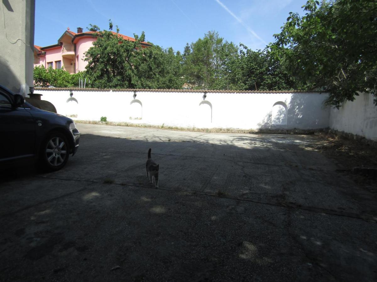 Hostel Papagal Βάρνα Εξωτερικό φωτογραφία